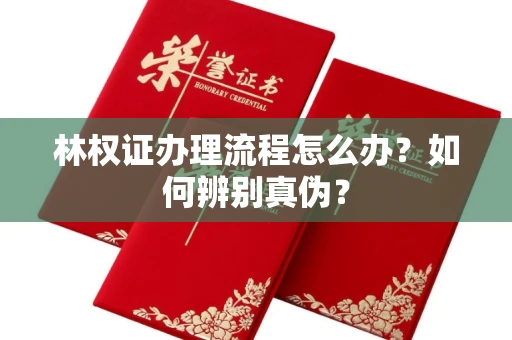 苏州林权证办理流程怎么办?如何辨别真伪?